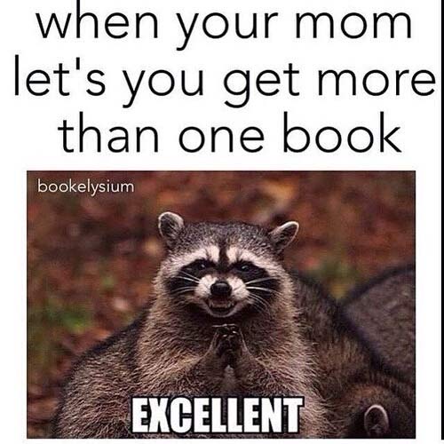 mom-book-lovers-raccoon